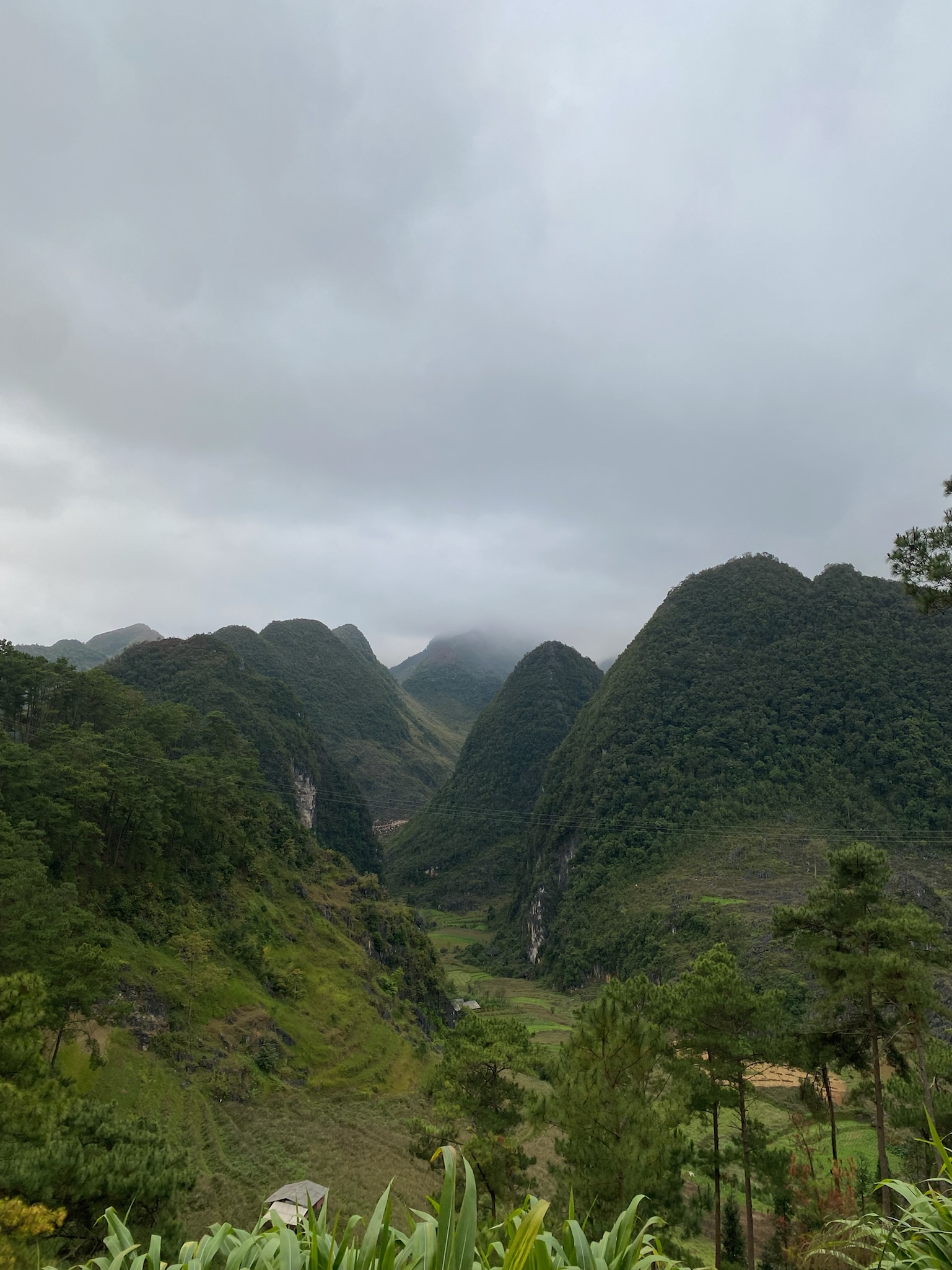 5A04E598-9099-43A2-97D3-62C31AFC3F4E