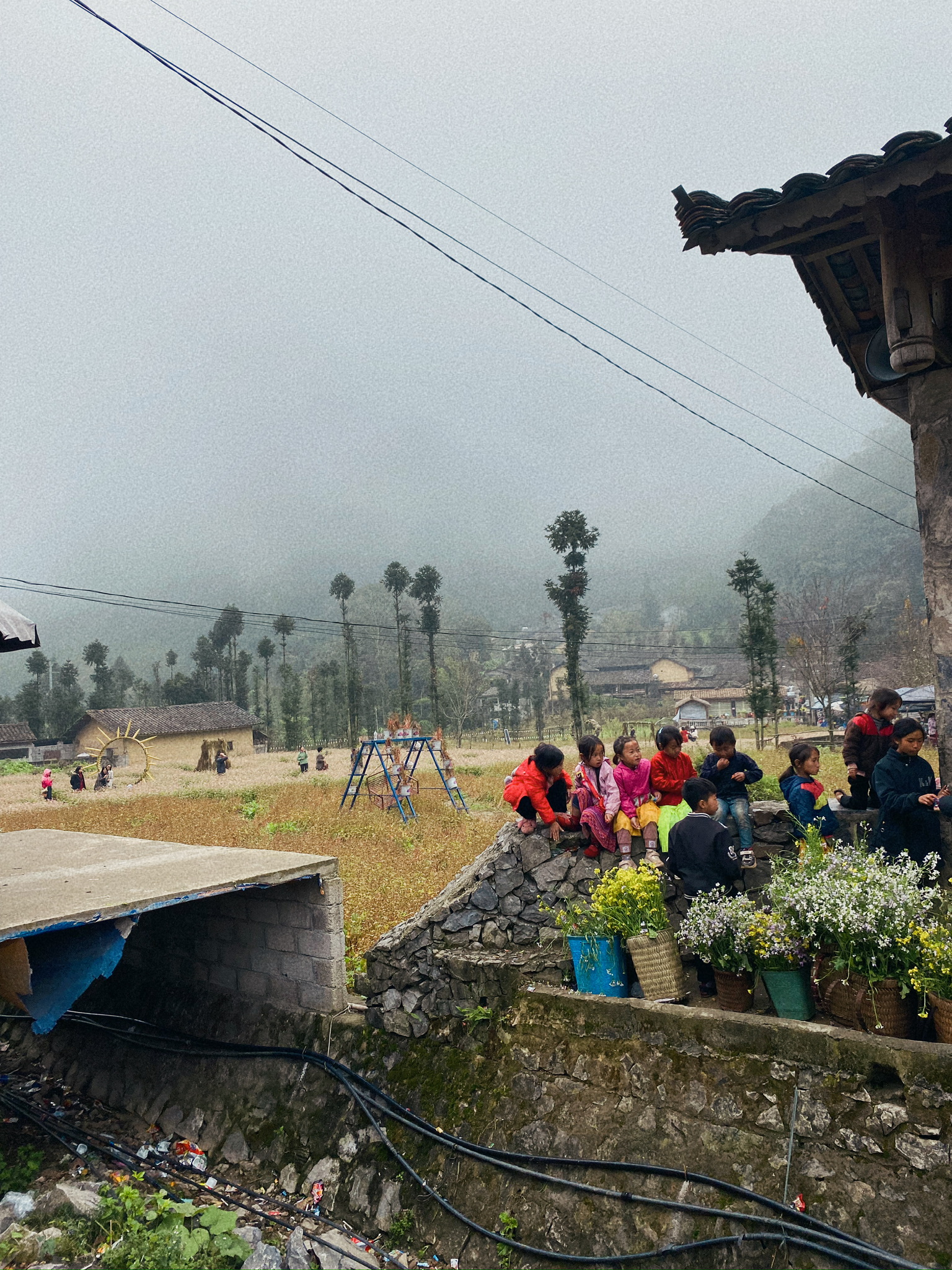 9BB6F1E2-DC0C-4003-B3F5-1521848D9B62