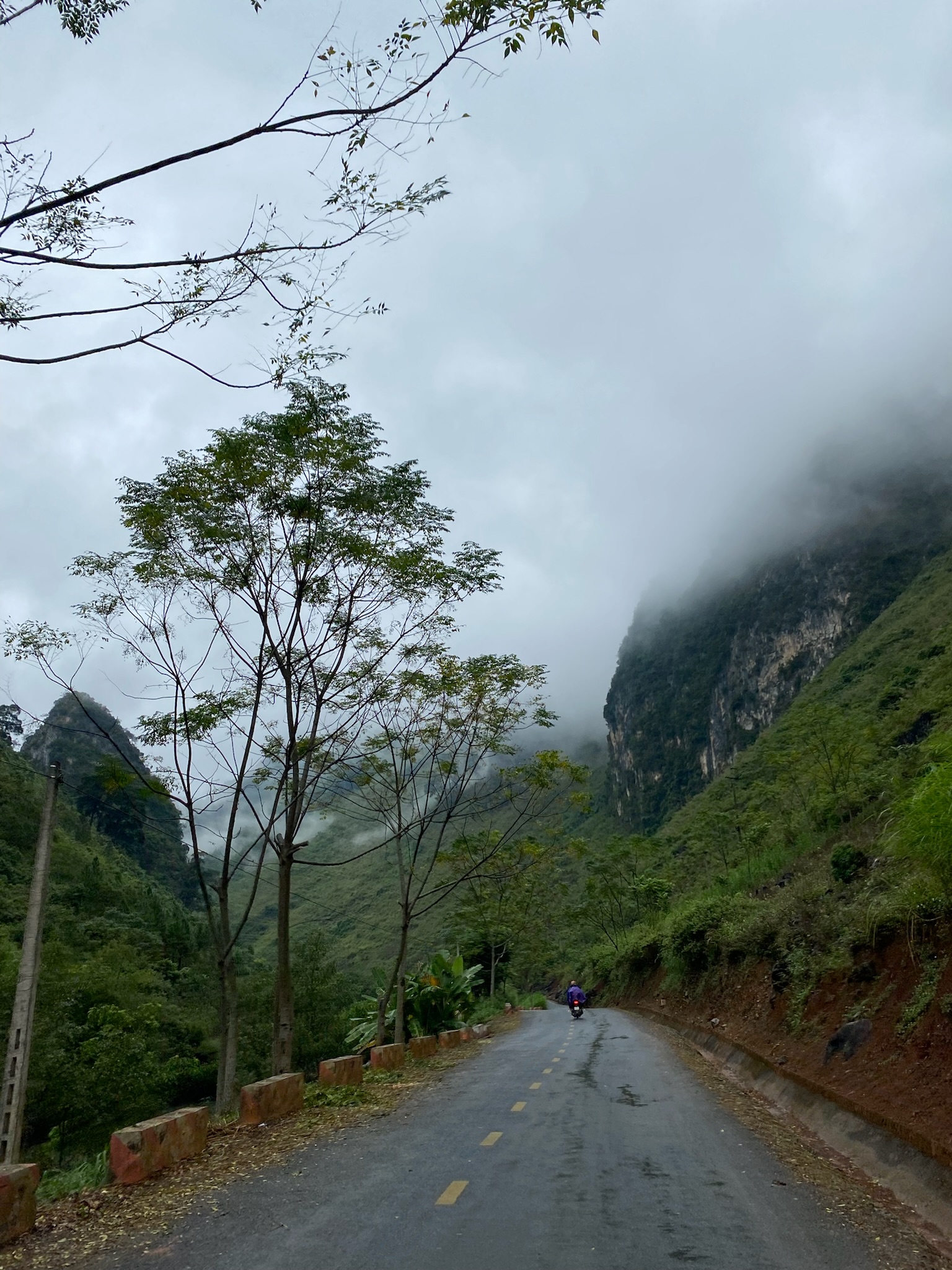 DA1F7F6C-B62E-43E0-9FBE-D8E542E1974E