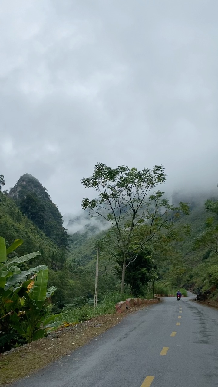 F94C43D5-E2A9-4A52-9C3B-32B844C4FB2C.poster